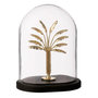 Voir la diapositive 1 : Paris Prix Cloche Déco en Verre  Palmier  28cm Doré