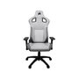 Voir la diapositive 1 : Corsair Chaise gaming T3 Rush Gris