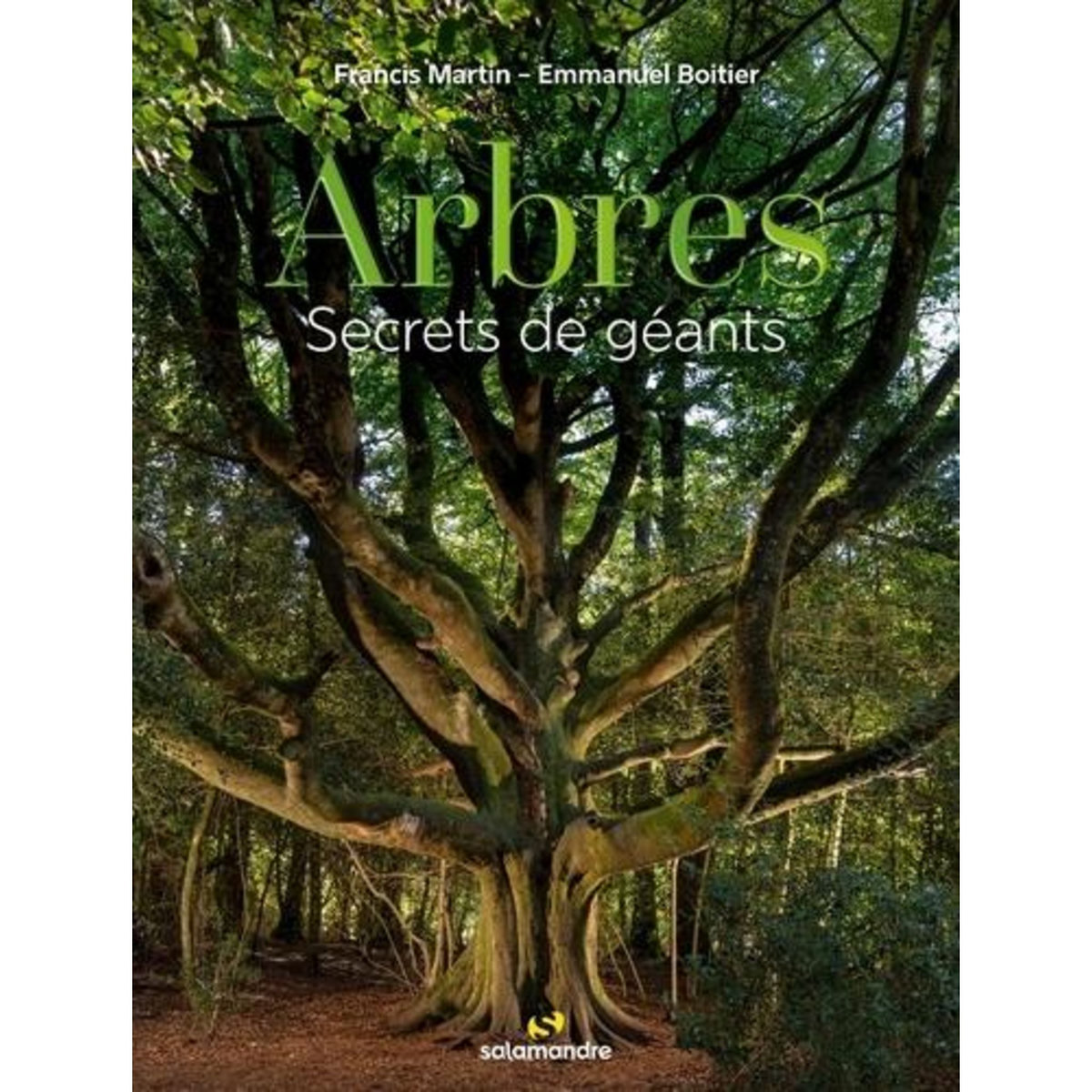ARBRES. SECRETS DE GEANTS, Martin Francis