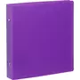 VIQUEL Classeur 17x22cm souple dos 40mm violet translucide