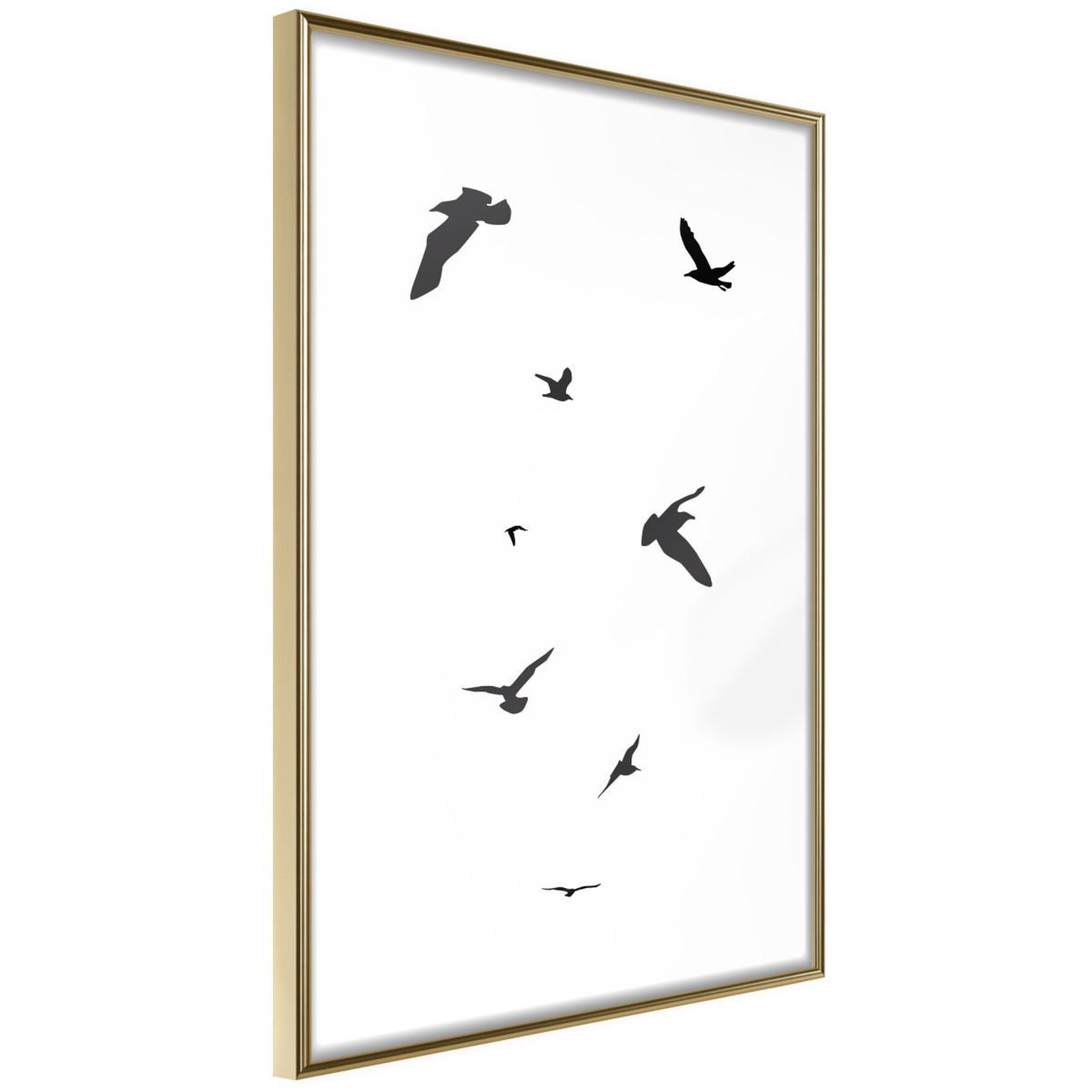 Paris Prix Affiche murale encadrée  birds