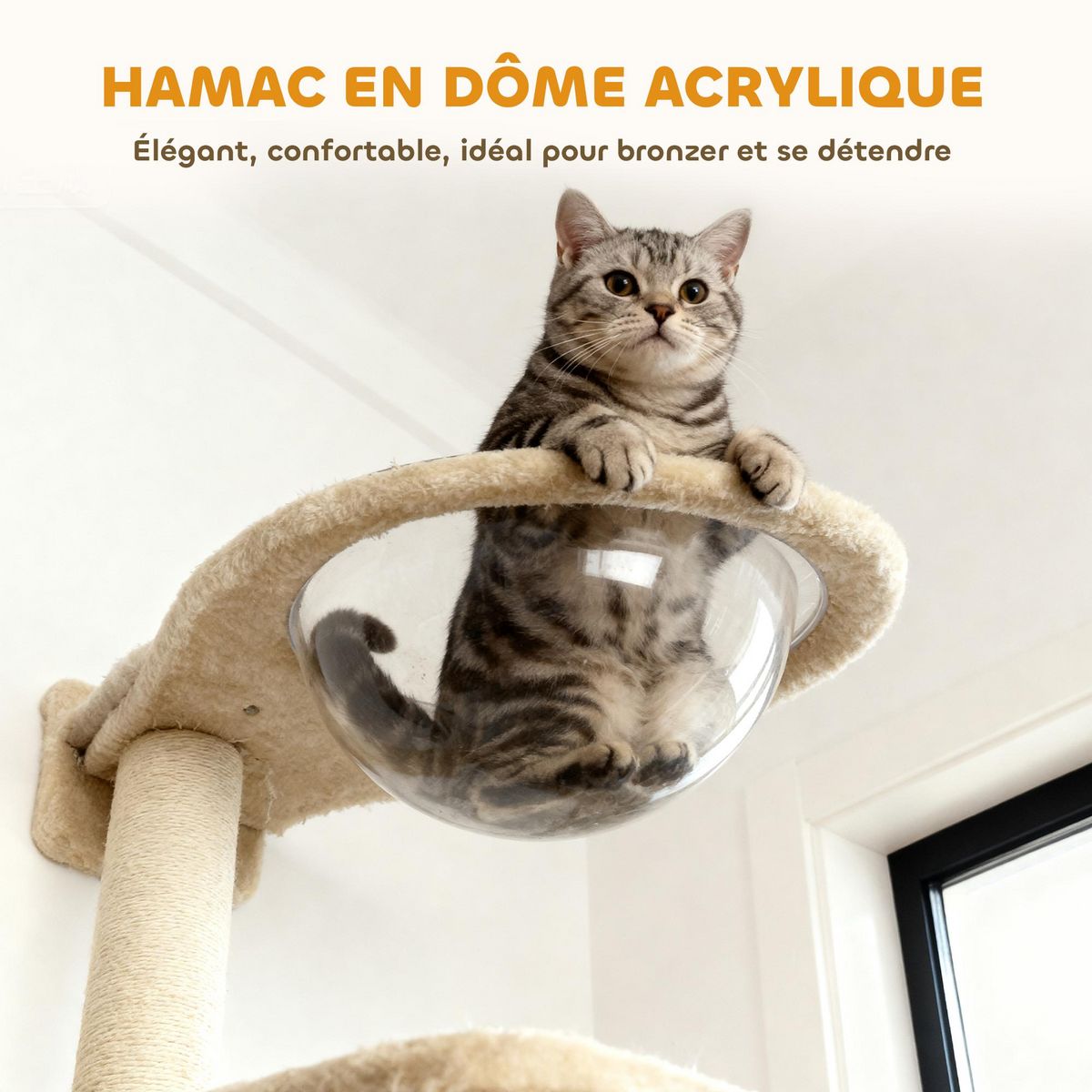 PAWHUT Arbre à chat design mural - parcours mural en bois pour chat 6 pièces variées - crème gris