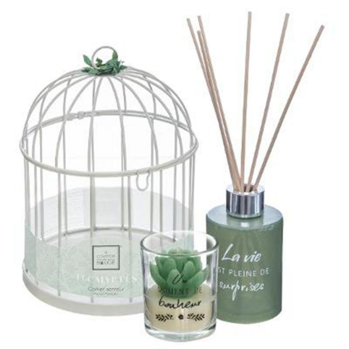  Coffret de Fragrances  Cage  20cm Eucalyptus
