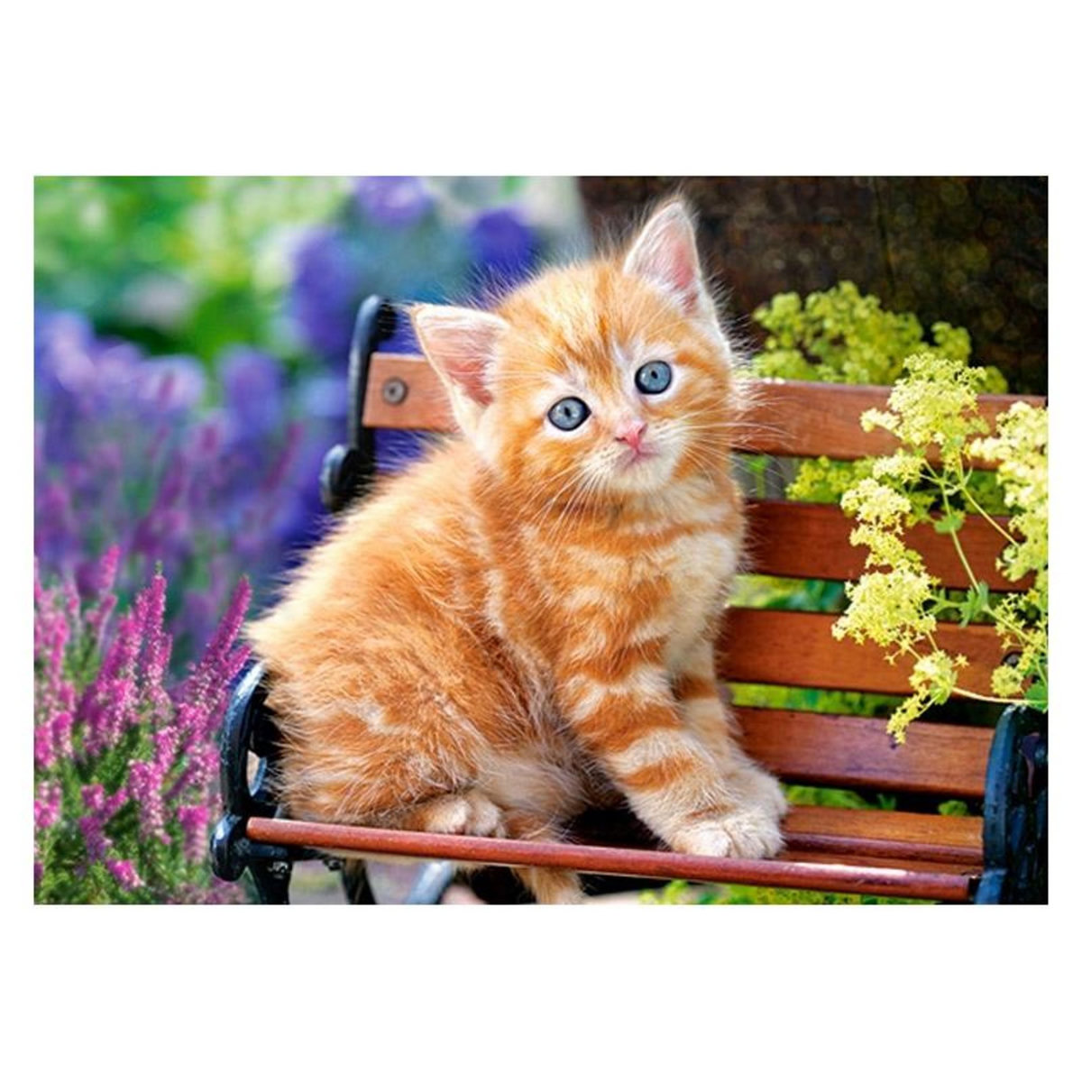 Castorland Puzzle 180 pièces : Chaton sur un banc