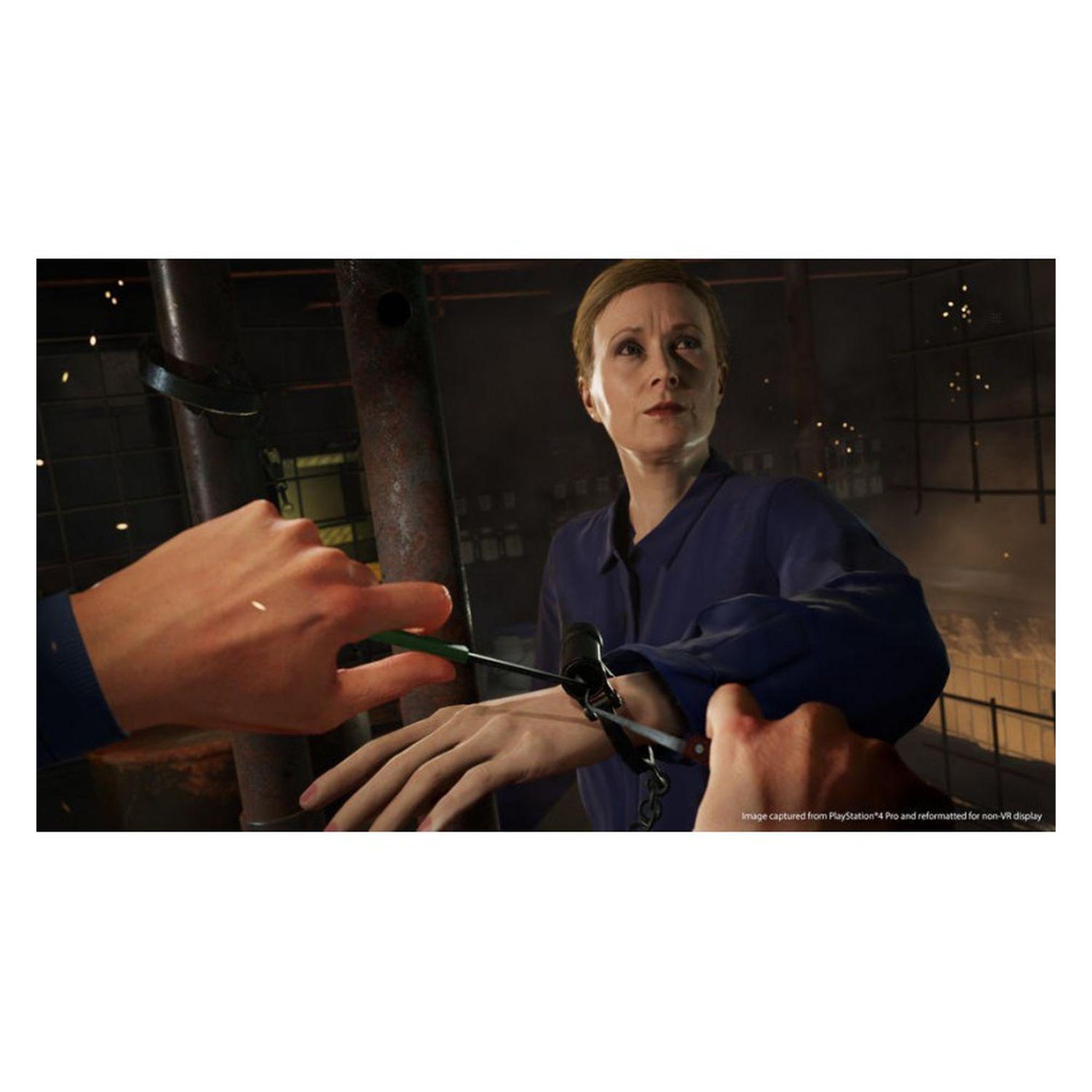 Voir la diapositive 2 : SONY Blood and Truth VR PS4
