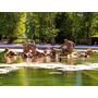 Voir la diapositive 3 : Smartbox Visite guidée en famille du château de Versailles et ses jardins - Coffret Cadeau Sport & Aventure