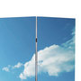 Voir la diapositive 3 : VIDAXL Cloison de separation pliable 120 x 170 cm Plage