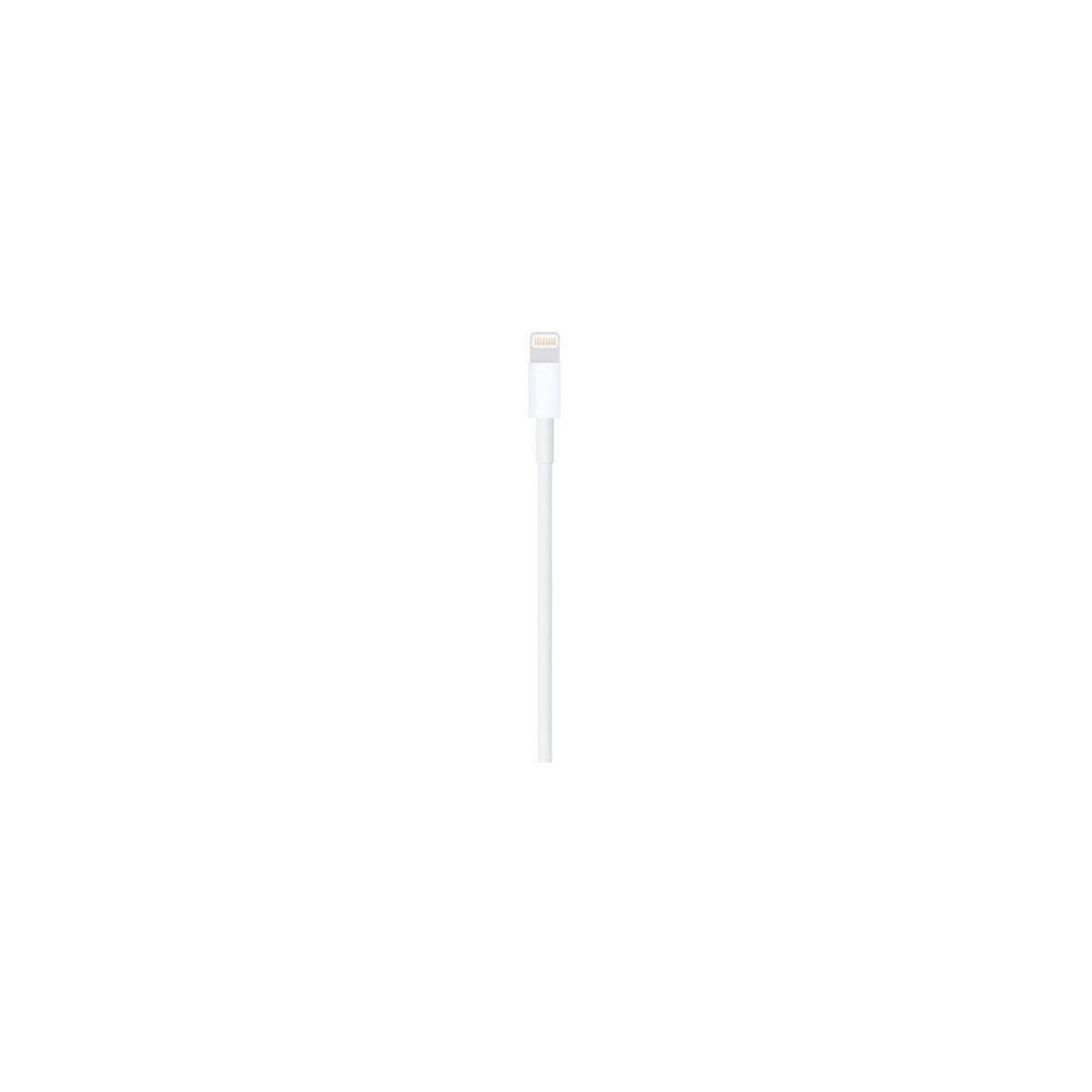 APPLE Câble Lightning Lightning vers USB 1m