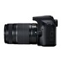 Voir la diapositive 3 : Canon CANON EOS 2000D 24,1 megapixels - Wi-Fi - NFC + Objectif EF-S 18-55 IS II