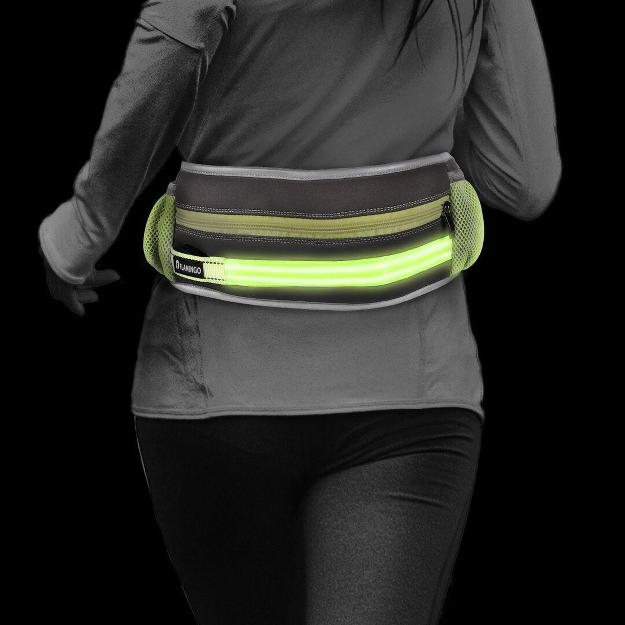 Voir la diapositive 5 : Eden Laisse de jogging avec ceinture de hanches led pour chien
