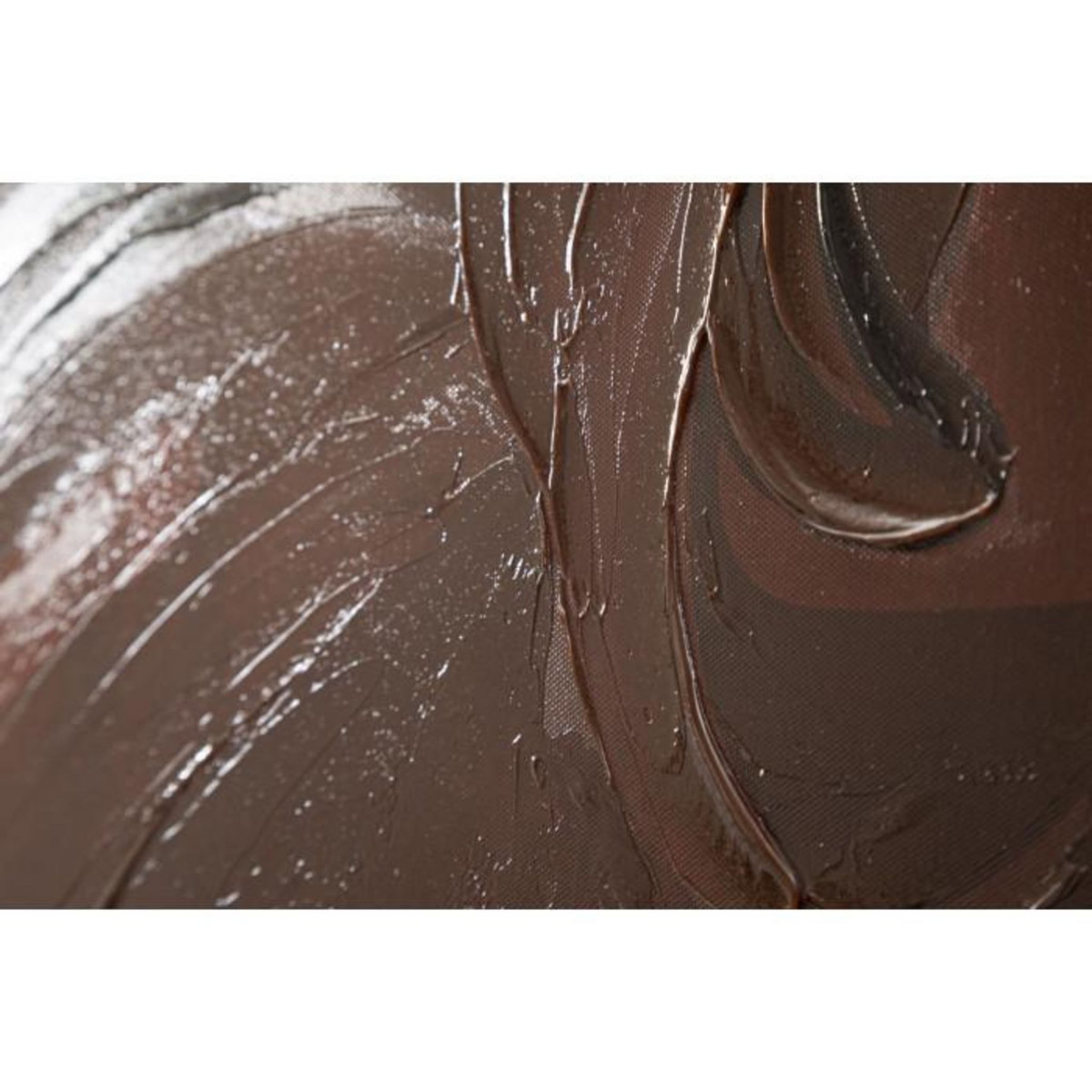 Paris Prix Toile Imprimée Déco  Lady Jungle Dos  80x120cm Multicolore