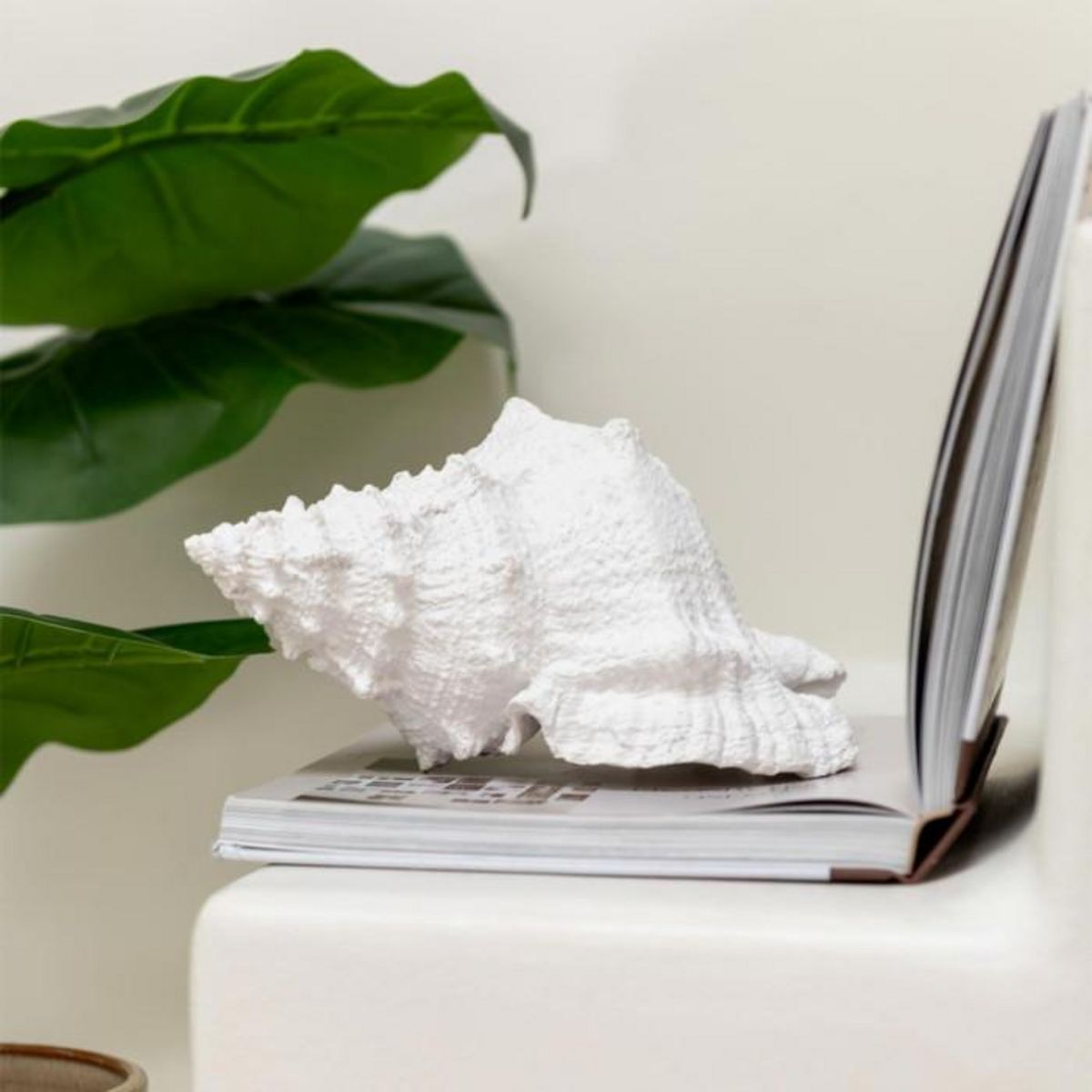 Paris Prix Coquillage Déco  Evasion  25cm Blanc