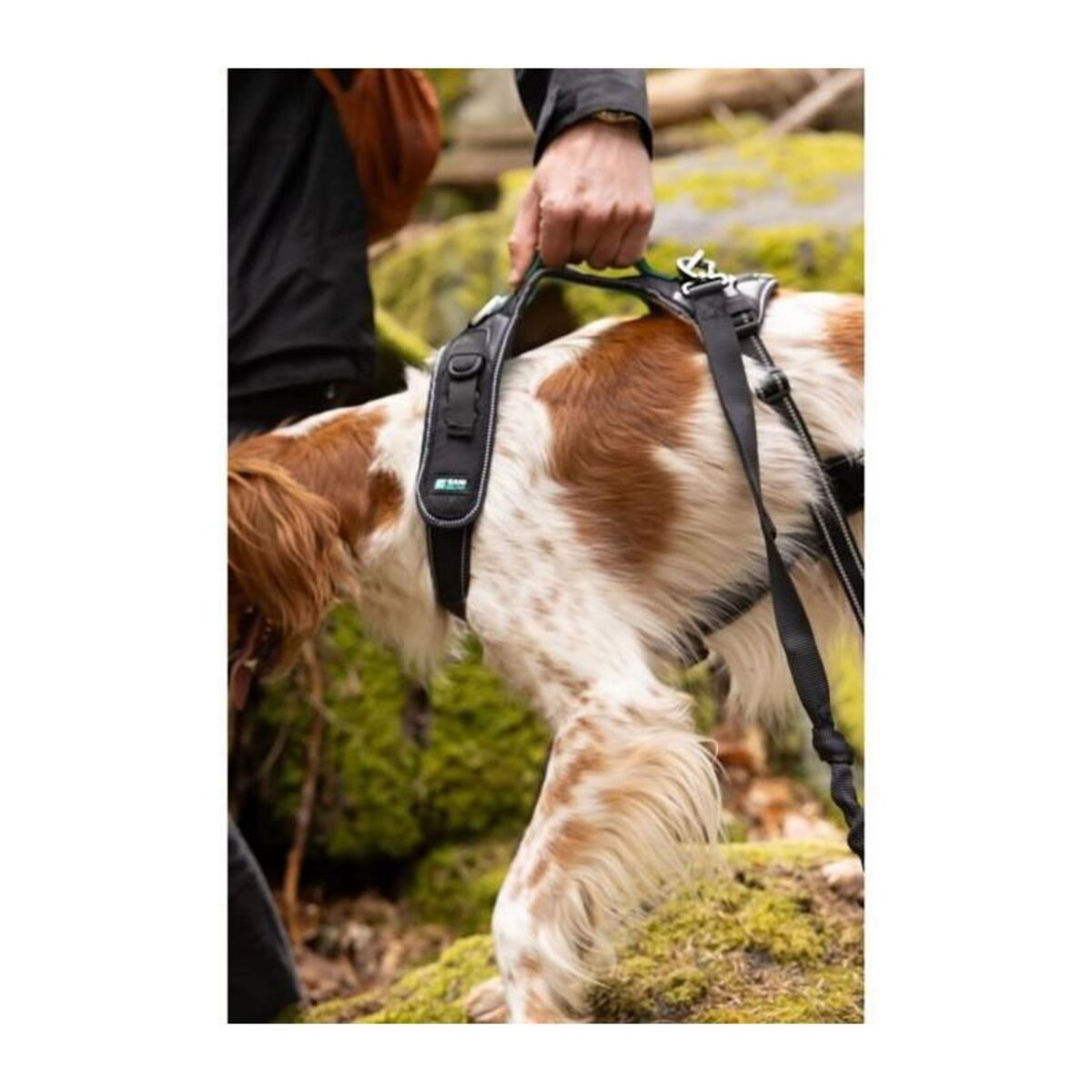 Harnais pour chien - SYMBIOZ - L - Noir / Bleu