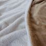 Voir la diapositive 4 : TOILINUX Couverture AZURA douce 2 tons et flanelle - 220 x 180 cm - Beige