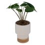  Plante Artificielle en Pot  Col  26cm Blanc