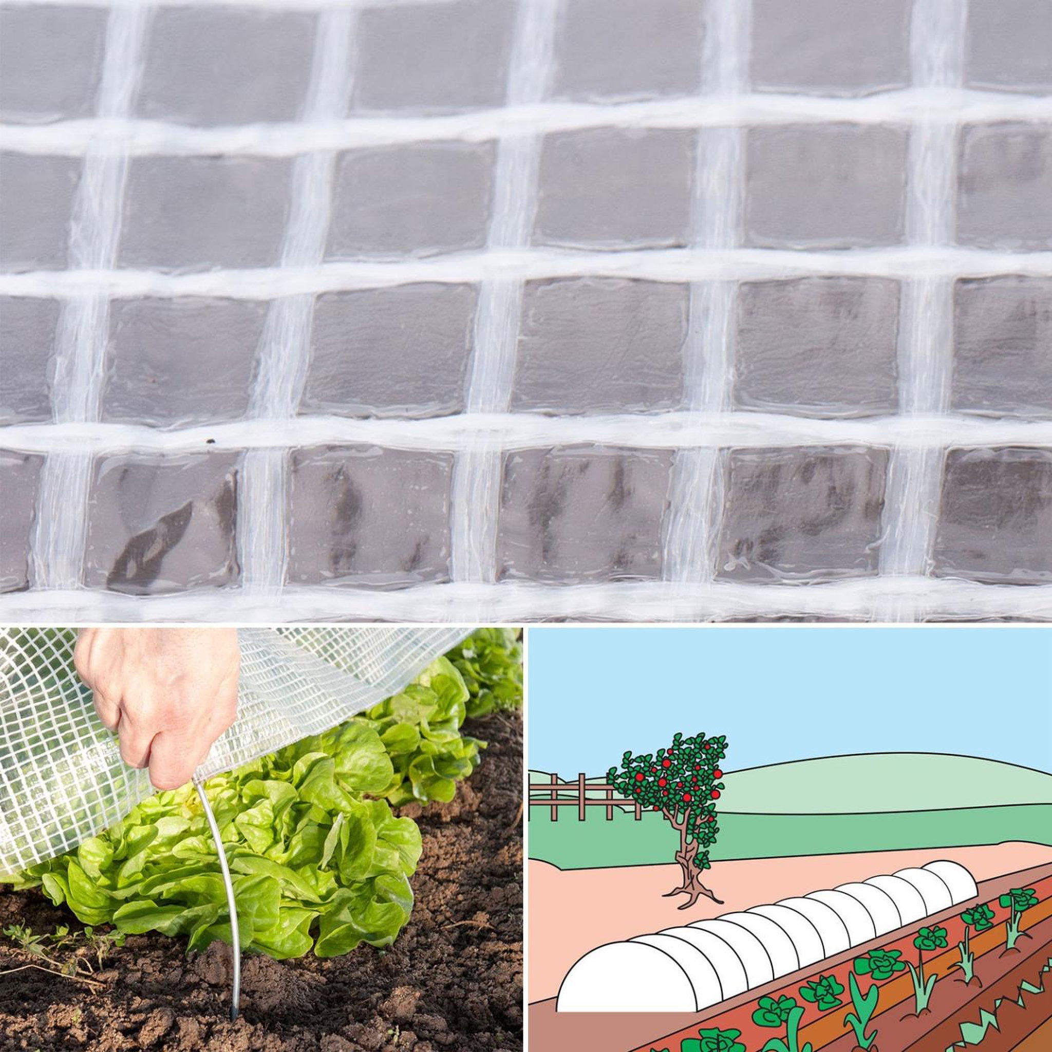 Voir la diapositive 6 : ID MARKET Bâche armée transparente 5x8 m renforcée