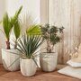  Lot de 3 caches pots – Hibiscus – vases en plastique, 3 tailles, ronds, gris foncé, emboitables
