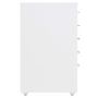 Voir la diapositive 3 : VIDAXL Classeur mobile Blanc 28x41x69 cm Metal