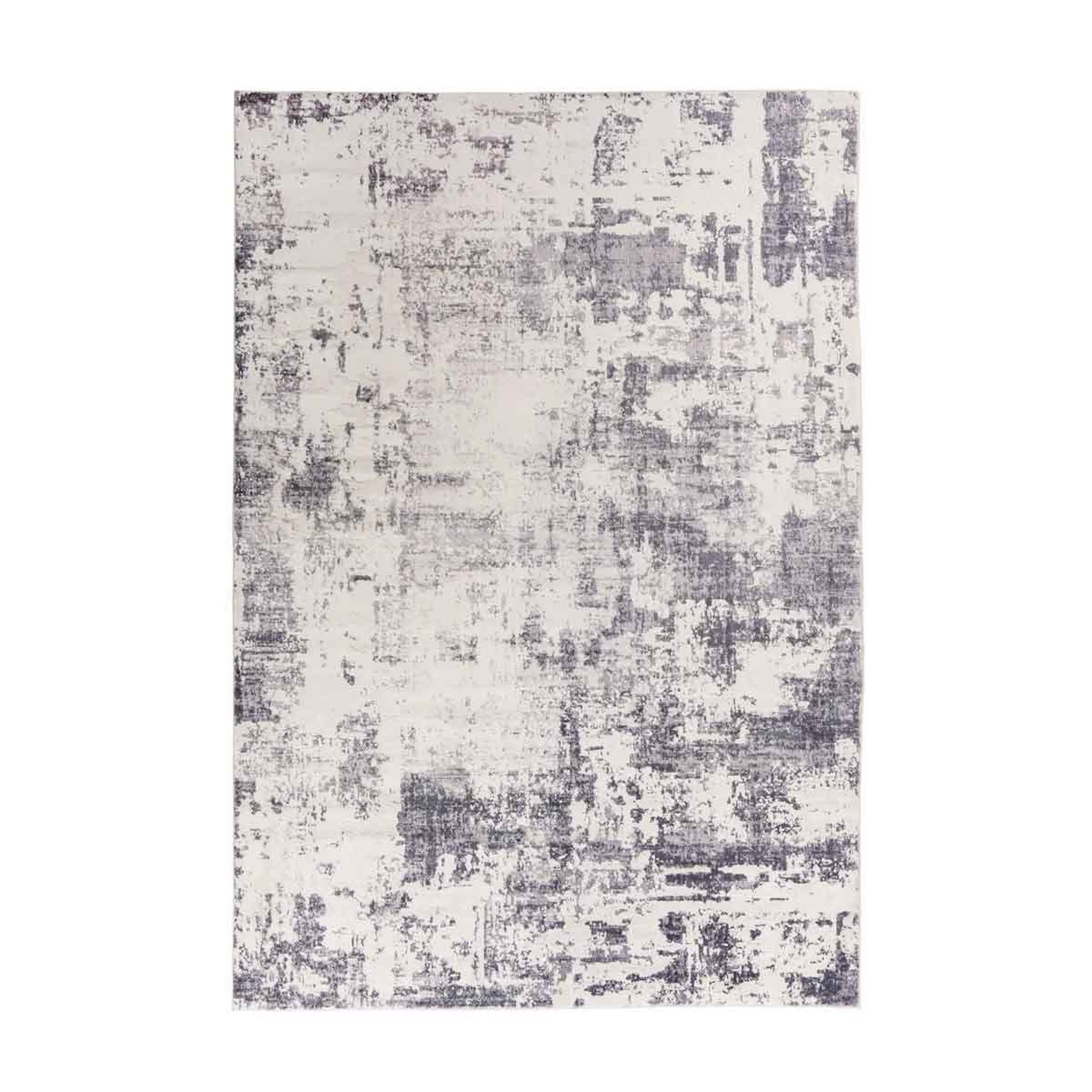 Voir la diapositive 1 : Paris Prix Tapis Tissé à Poils Courts Vintage  Ilian VIII  Gris