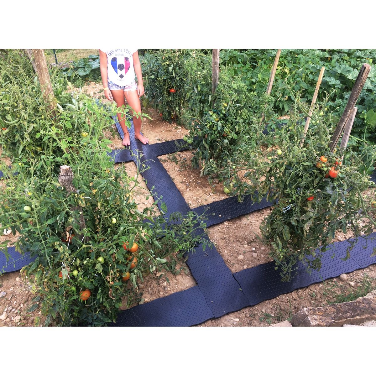 Belli Lot de 4 dalles plastiques clipsables - 0.80m²