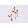 Voir la diapositive 3 : BJORN Coffret 6 petites cuillères OGLU - Copper