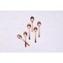 Voir la diapositive 3 : BJORN Coffret 6 petites cuillères OGLU - Copper