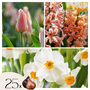 Voir la diapositive 1 : PLANT IN A BOX Mélange de bulbes pour le jardin - Set de 25 - Narcissus, Tulipa, Hyacinthus