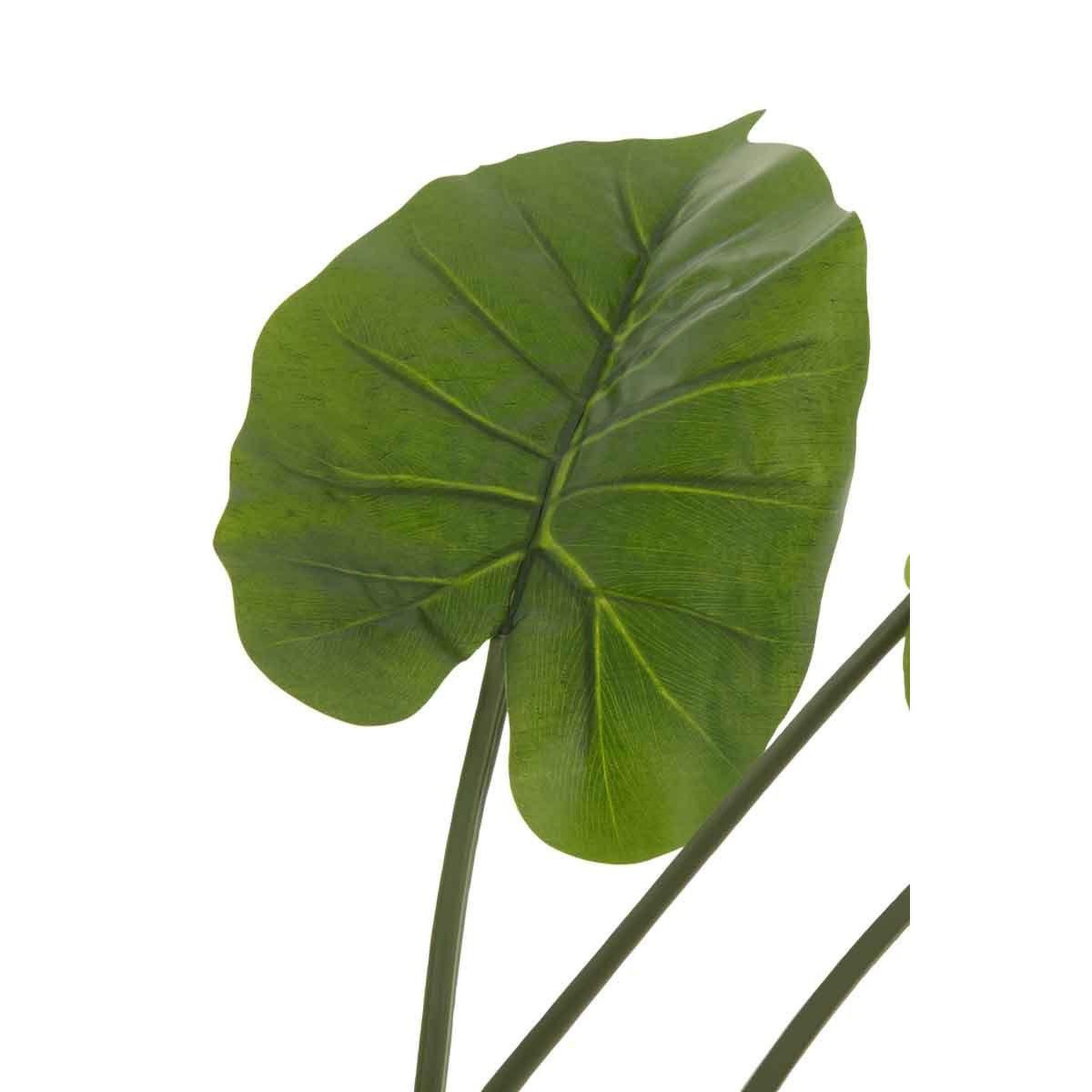 Voir la diapositive 2 : J-LINE Plante artificielle  taro sauvage  123cm vert