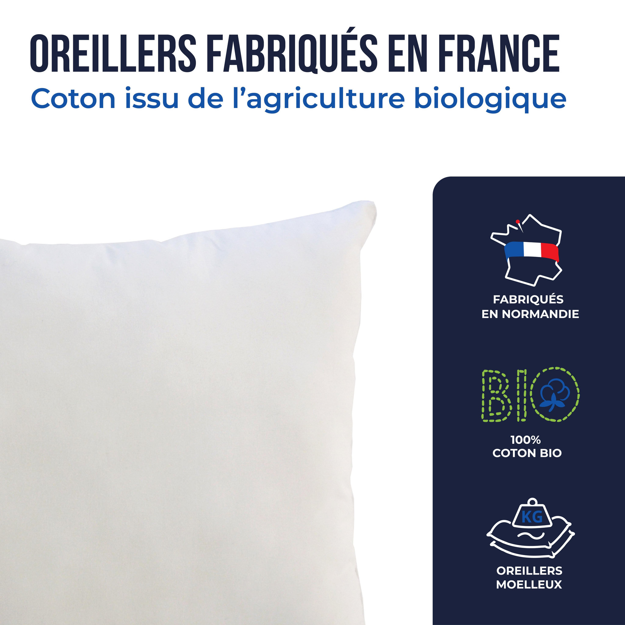 Voir la diapositive 4 : COLAS NORMAND Lot d'oreillers bio moelleux 65x65 cm