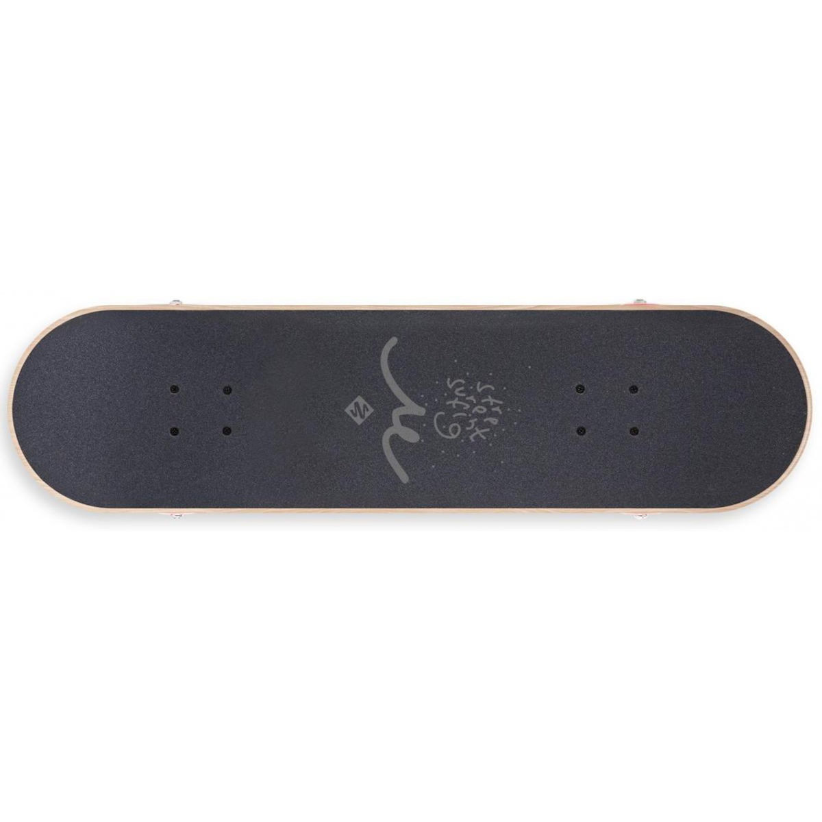 Street Surfing Street skateboard 31   wall writer