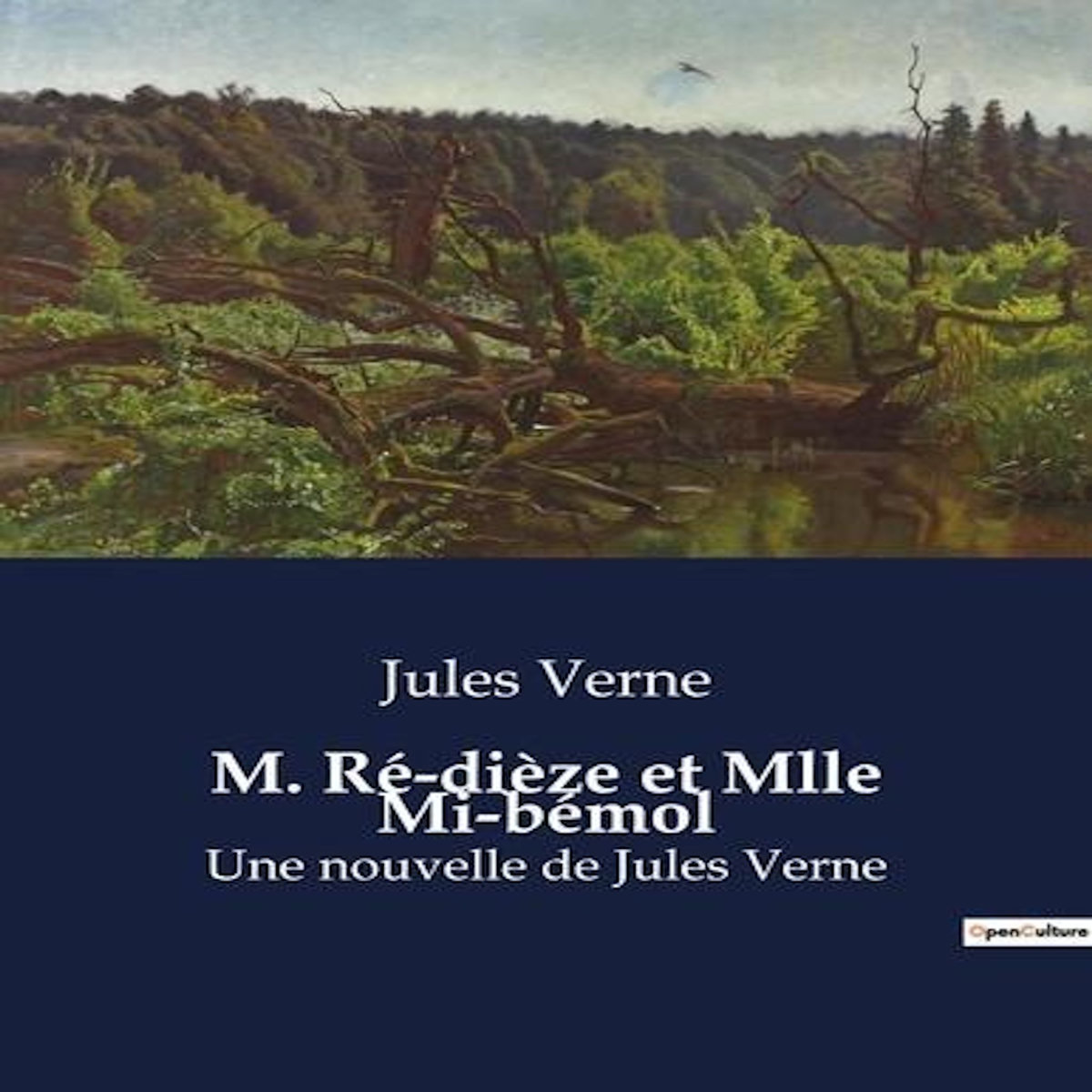 M. RE-DIEZE ET MLLE MI-BEMOL, Verne Jules