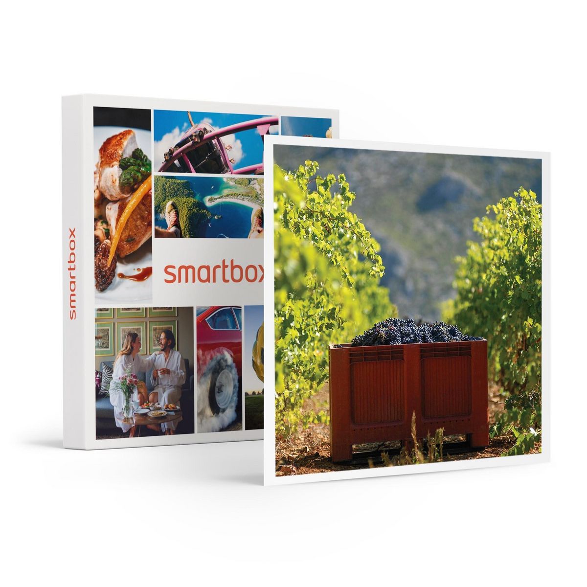 Smartbox Atelier Initiation et Dégustation Vin Biologique dans un domaine viticole - Coffret Cadeau Gastronomie