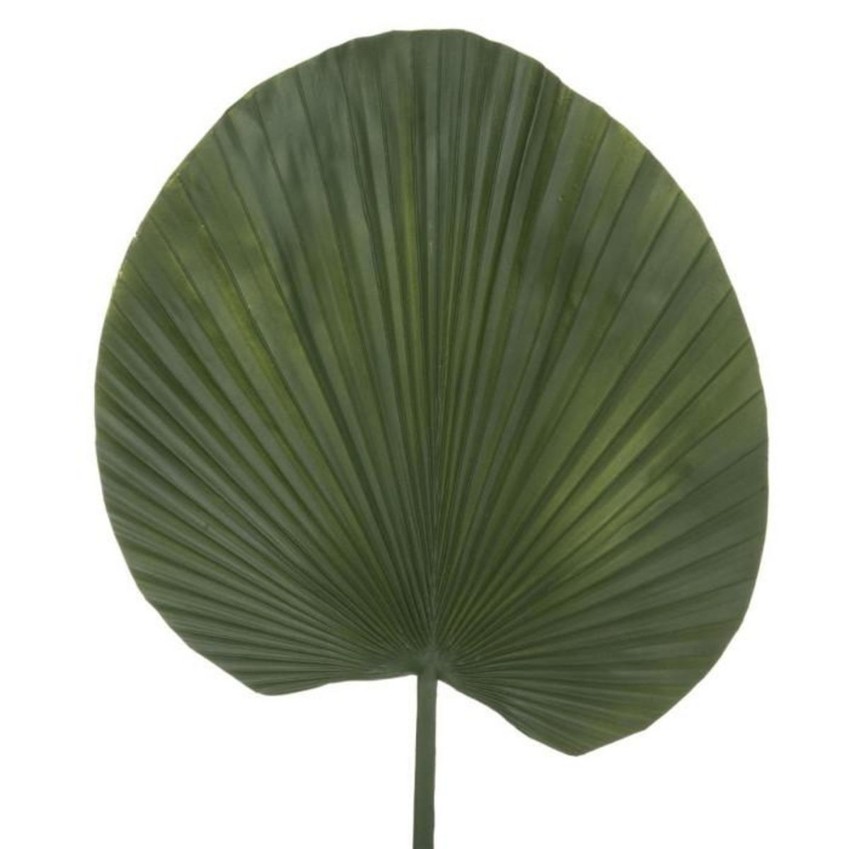 ATMOSPHERA Fleur Artificielle Nénuphar  Feel  91cm Vert
