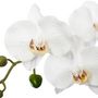 Voir la diapositive 2 : ATMOSPHERA Fleur Artificielle en Pot  Orchidée  53cm Gris