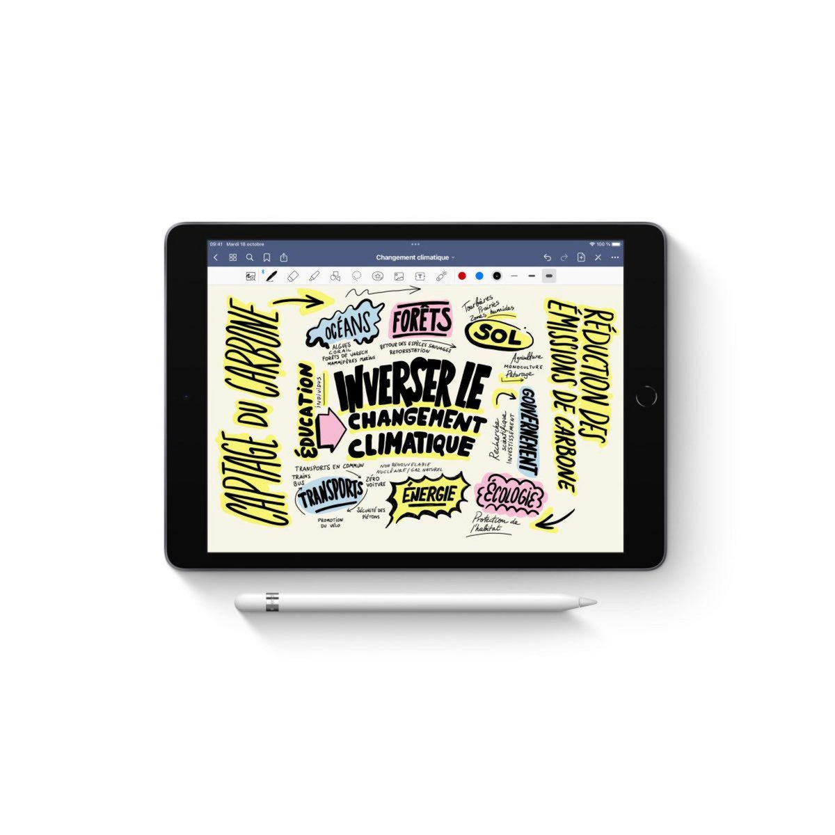 APPLE Stylet Pencil 1ère Génération + adaptateur USB-C