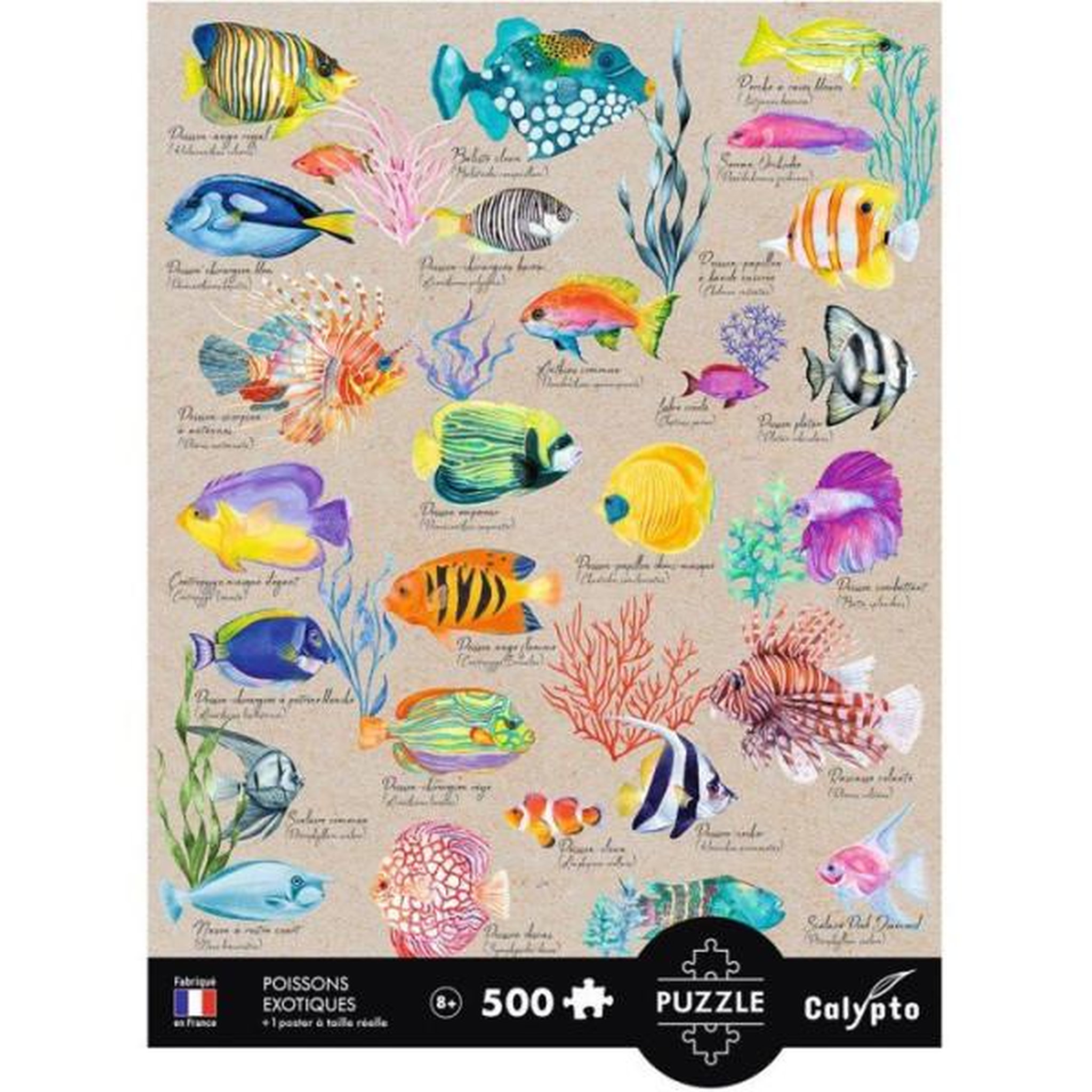 Voir la diapositive 3 : Sentosphere Puzzle 500 pieces - Poissons exotiques