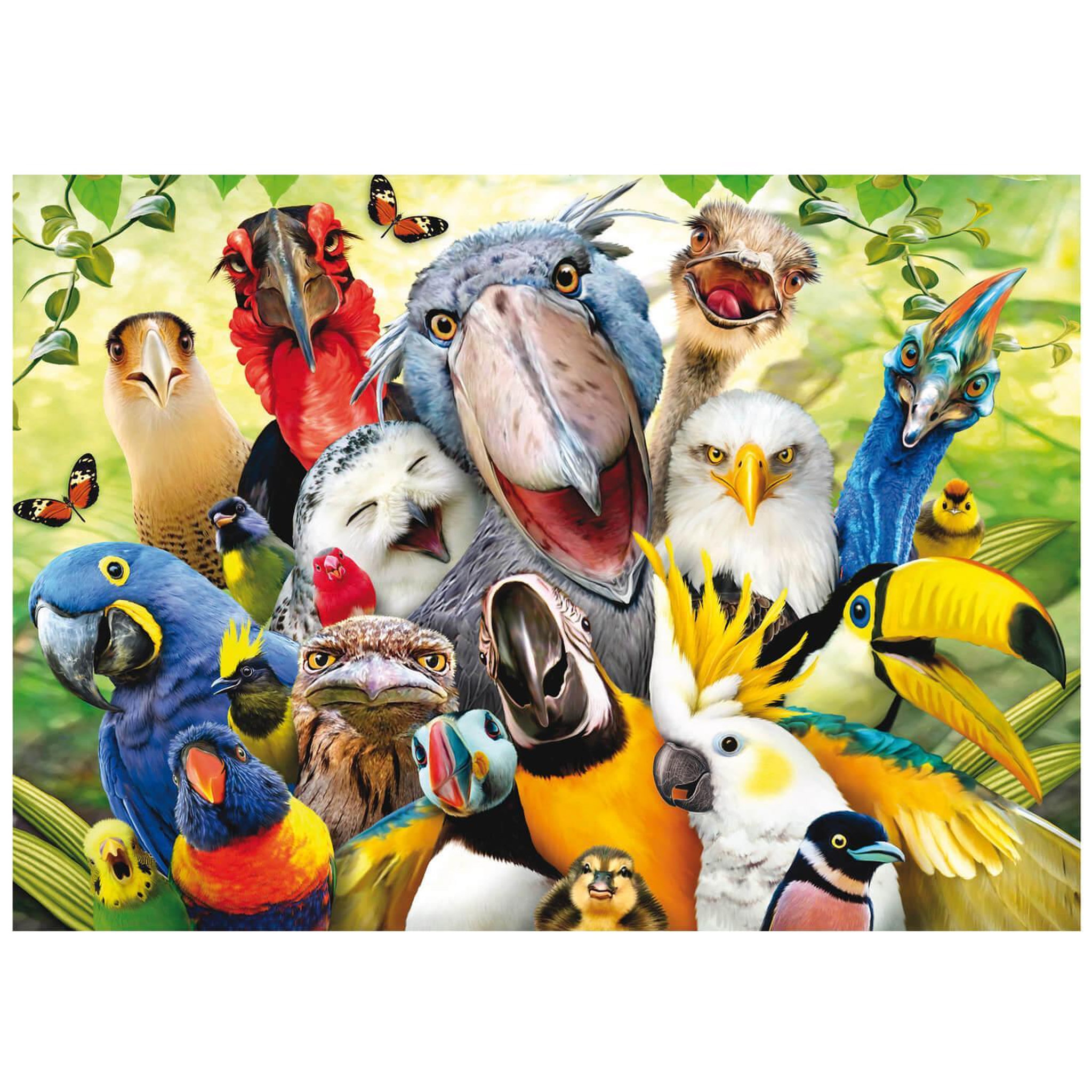 Voir la diapositive 1 : EDUCA Puzzle 500 pièces : Le Petit Oiseau Va Sortir