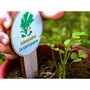 Smartbox 6 mois d'abonnement à une box jardinage pour enfant - Coffret Cadeau Sport & Aventure