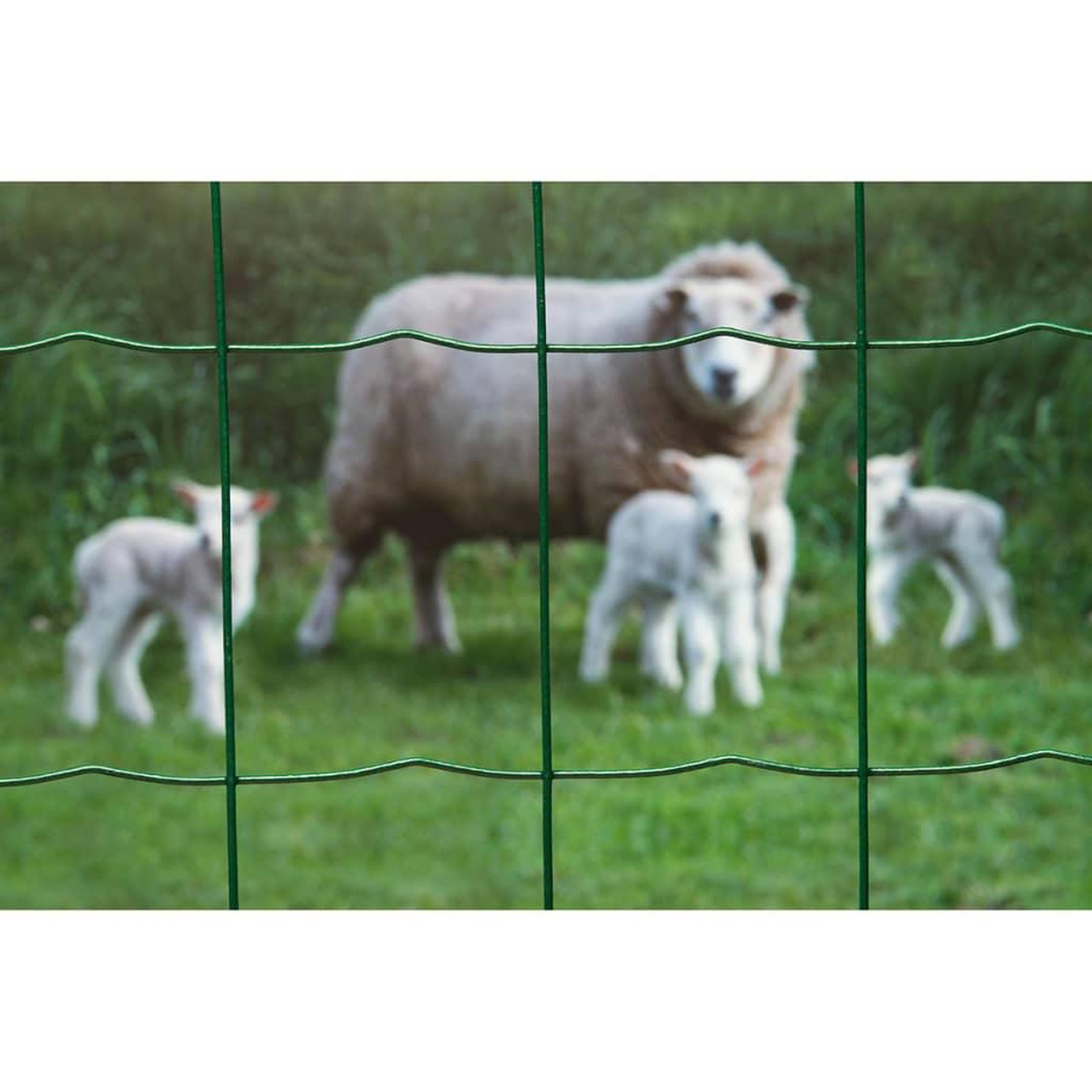 Voir la diapositive 2 : NATURE Nature Grillage metallique rectangulaire 0,6 x 10 m Vert