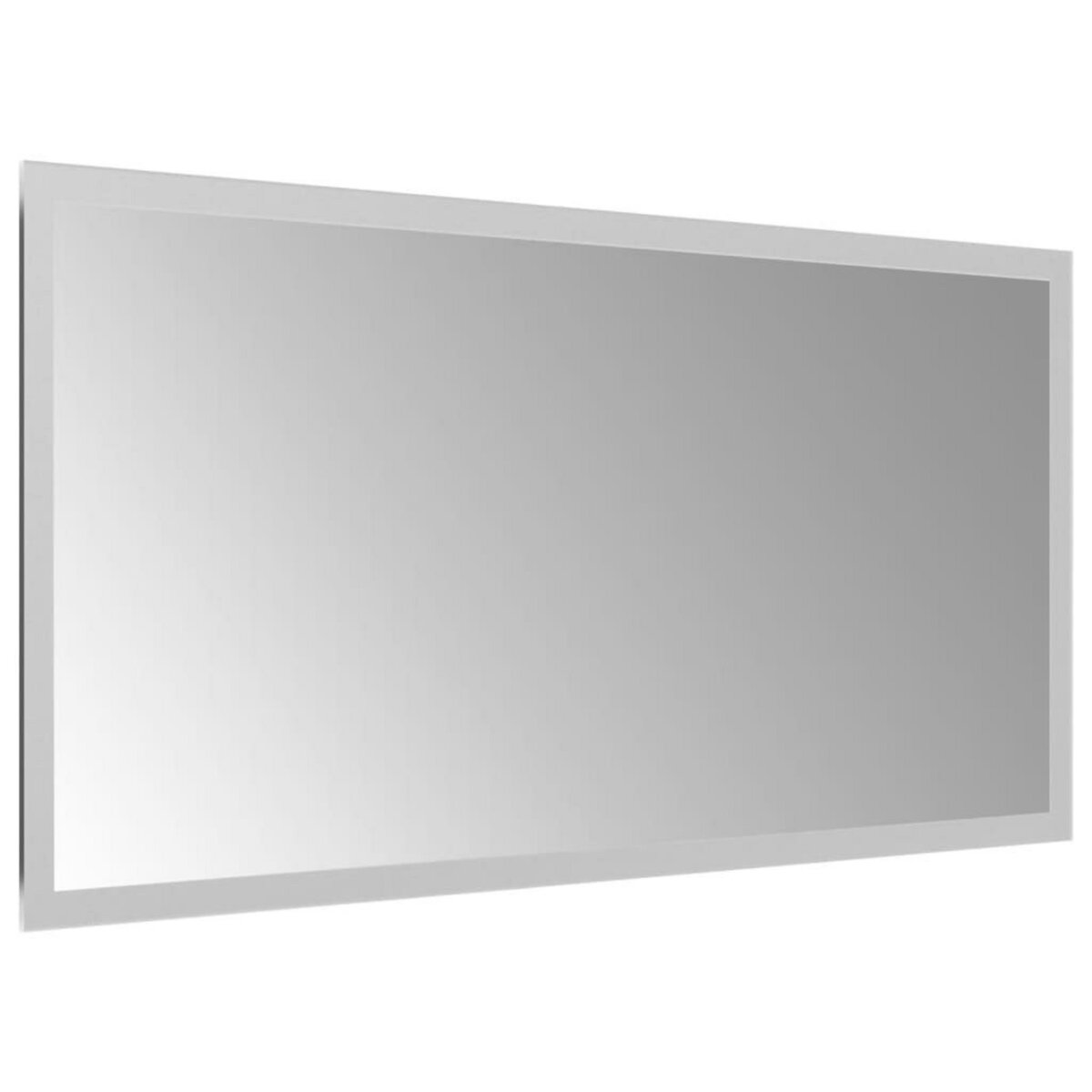 VIDAXL Miroir de salle de bain a LED 30x60 cm