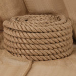 VIDAXL Corde de jute 5 m de long 40 mm d'epaisseur