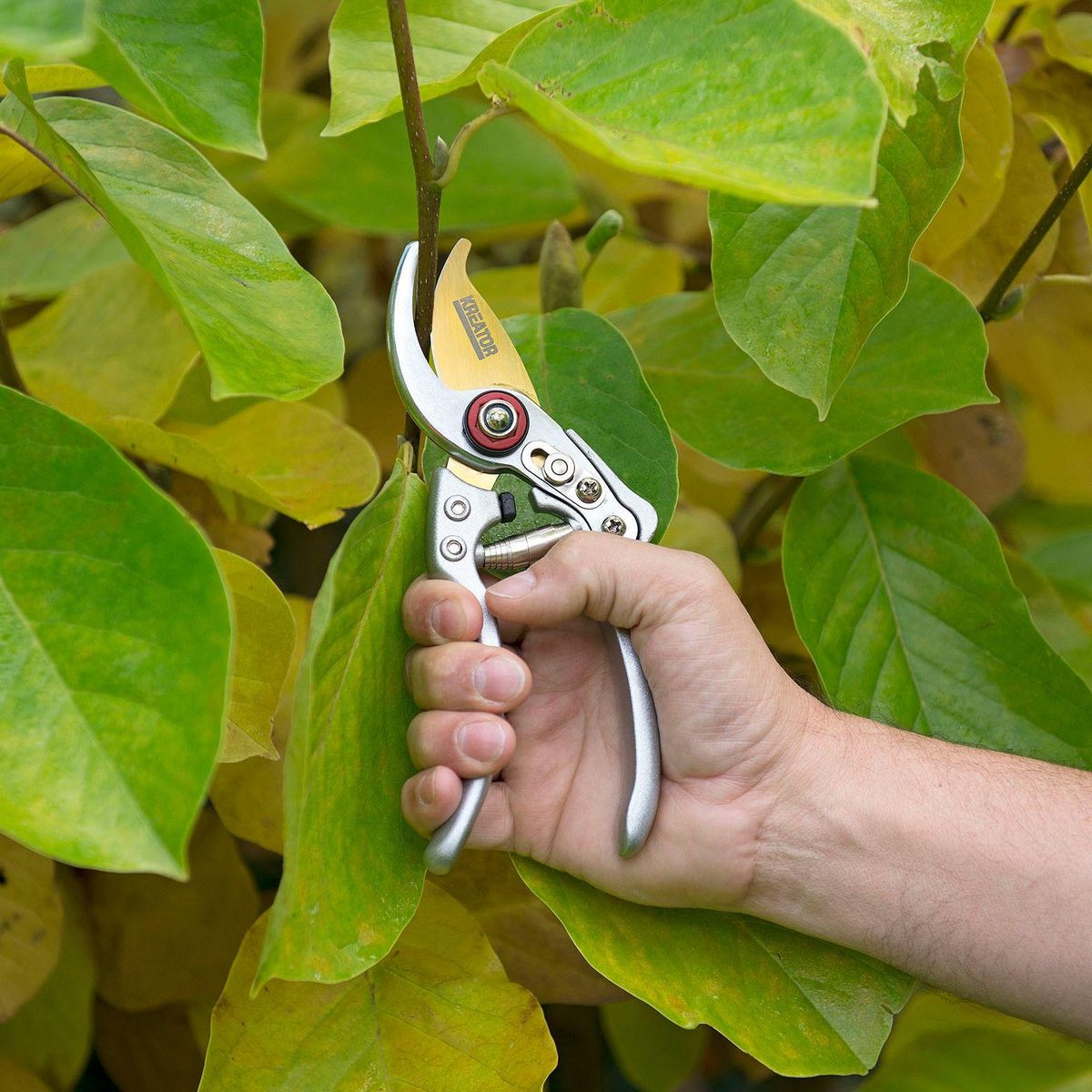 KREATOR Sécateur titanium lame courbée 200mm