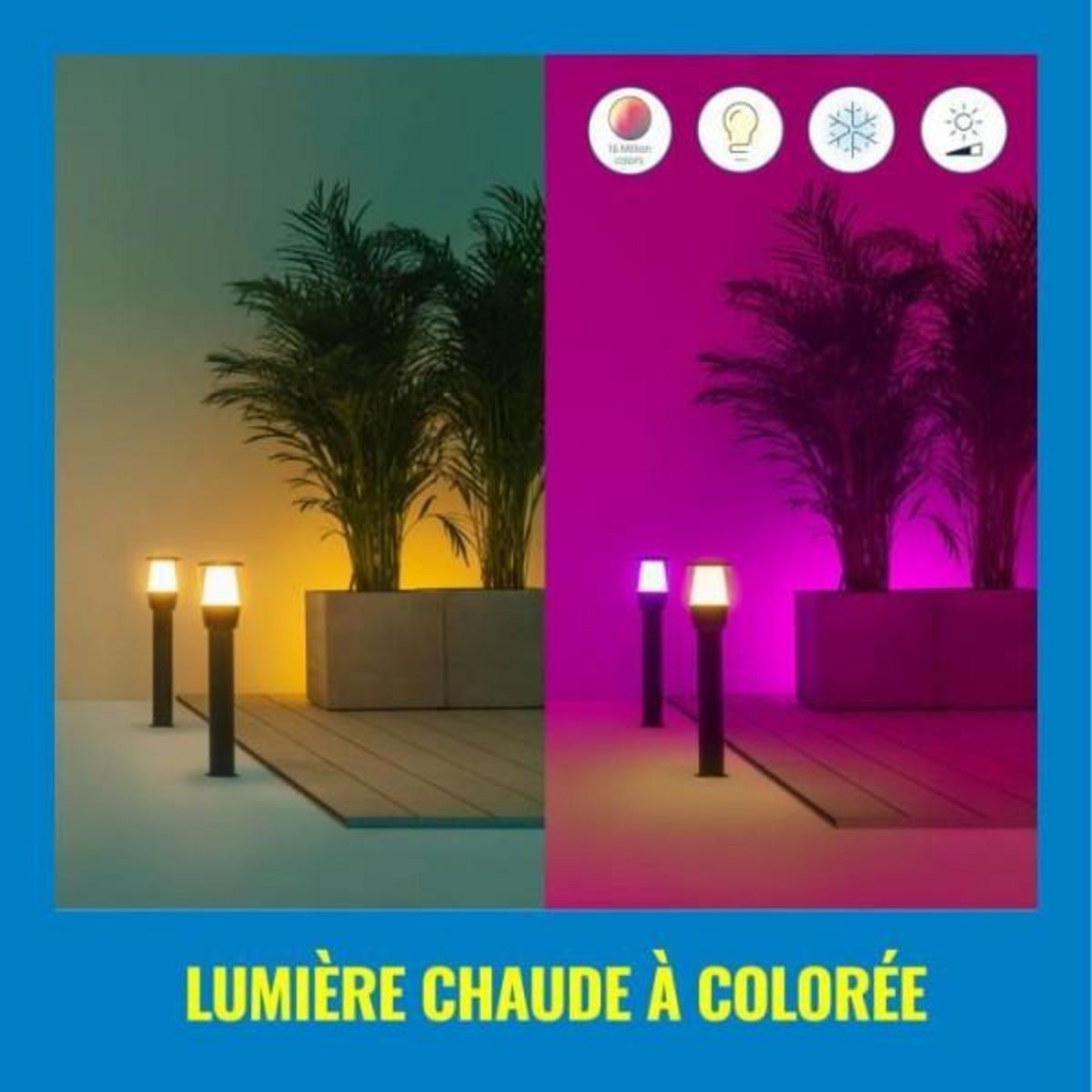 WIZ Kit d'extension WIZ ELPAS Borne connectée 12V Extérieur