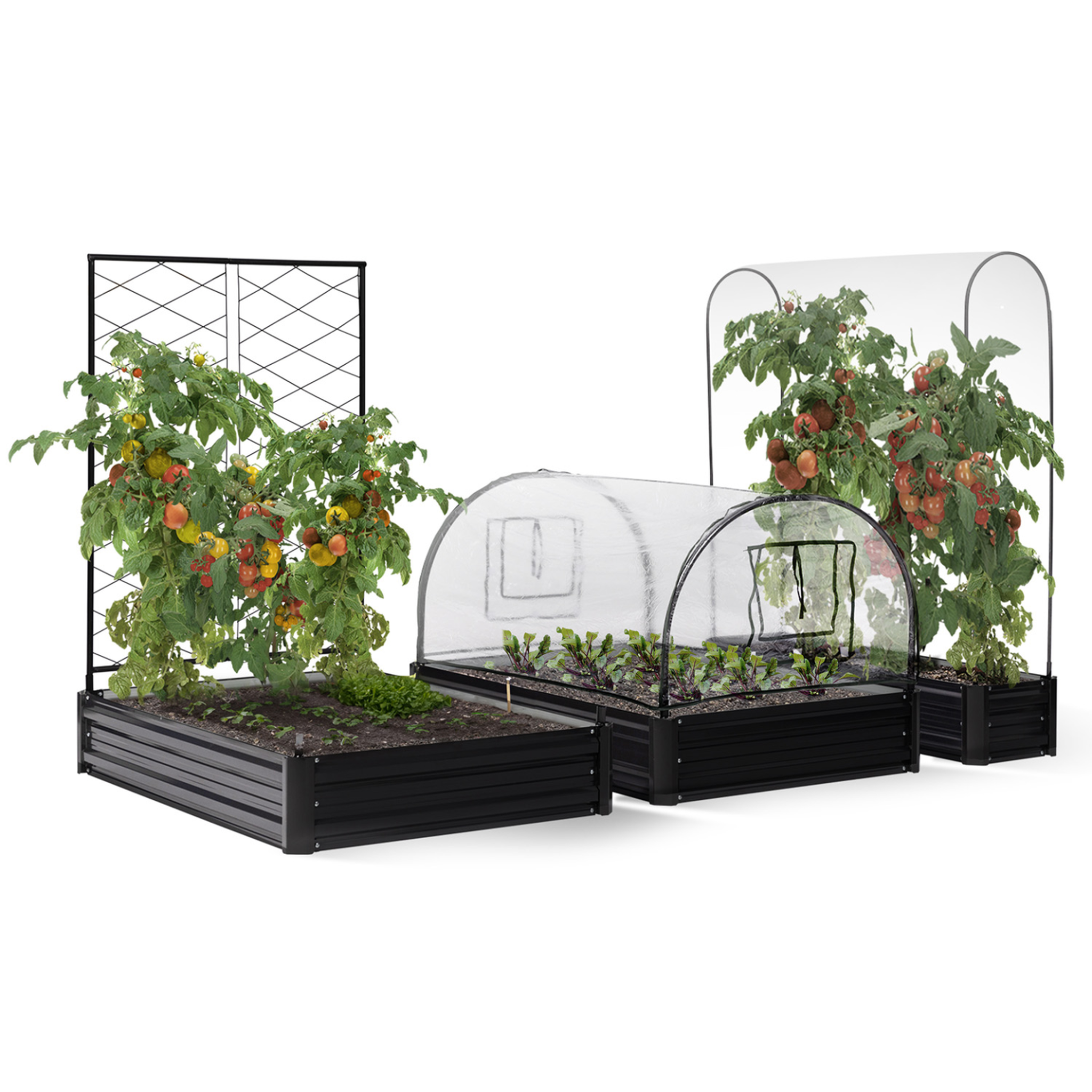 ID MARKET Kit complet 3 bacs métal modulables carrés potager et serre à tomates + treillis + housse