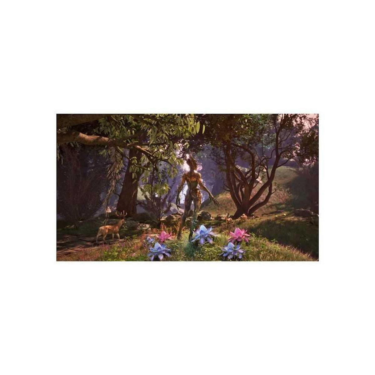 BETHESDA The Elder Scrolls IV Oblivion Remastered Deluxe Edition XBOX SERIE X