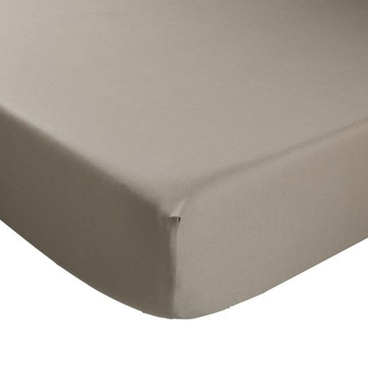 DODO Drap housse Coton Antibactérien Taupe