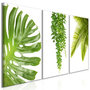 Voir la diapositive 1 : Paris Prix Tableau Imprimé  Beautiful Palm Trees 3 Panneaux  60x120cm