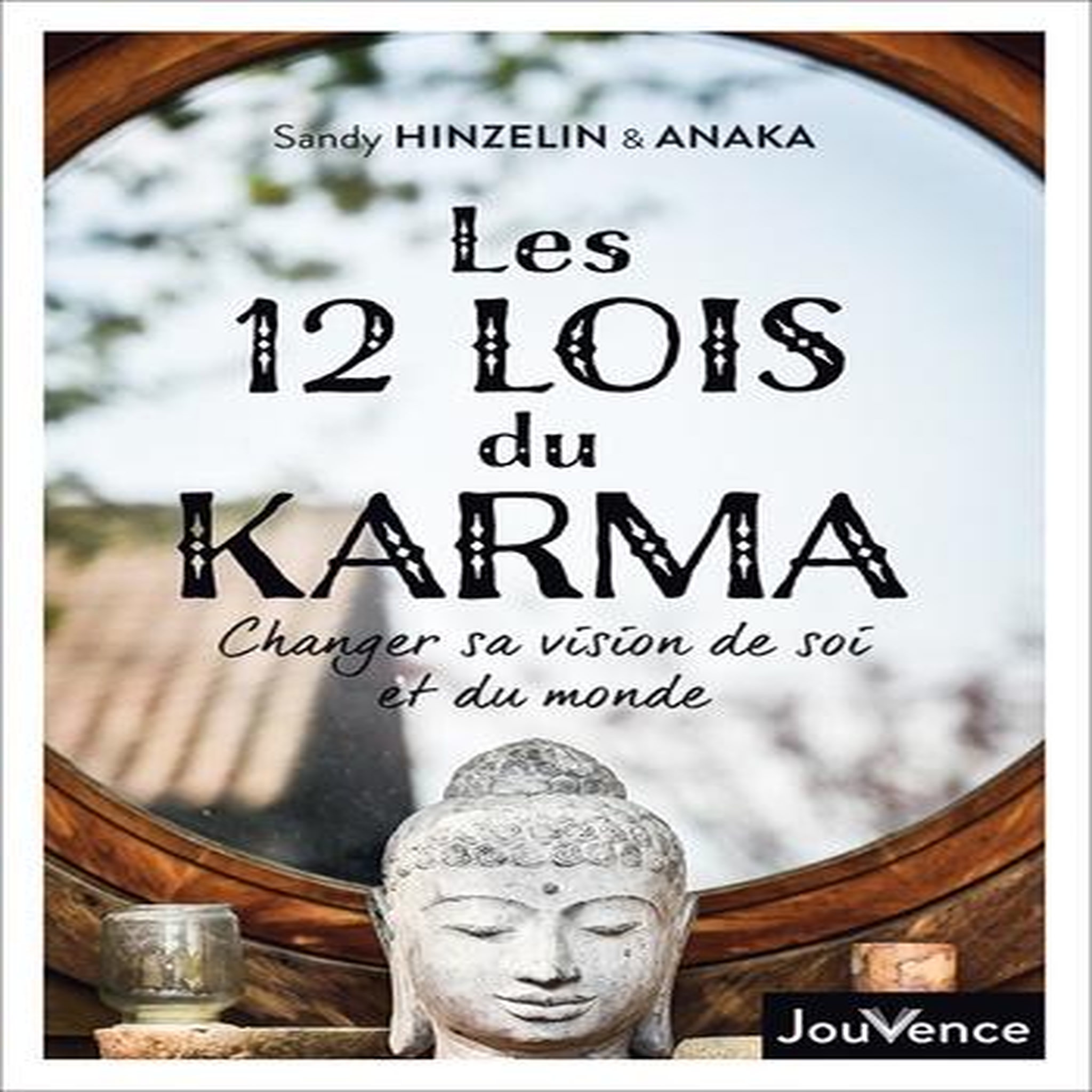 LES 12 LOIS DU KARMA . CHANGER SA VISION DE SOI ET DU MONDE, Hinzelin Sandy