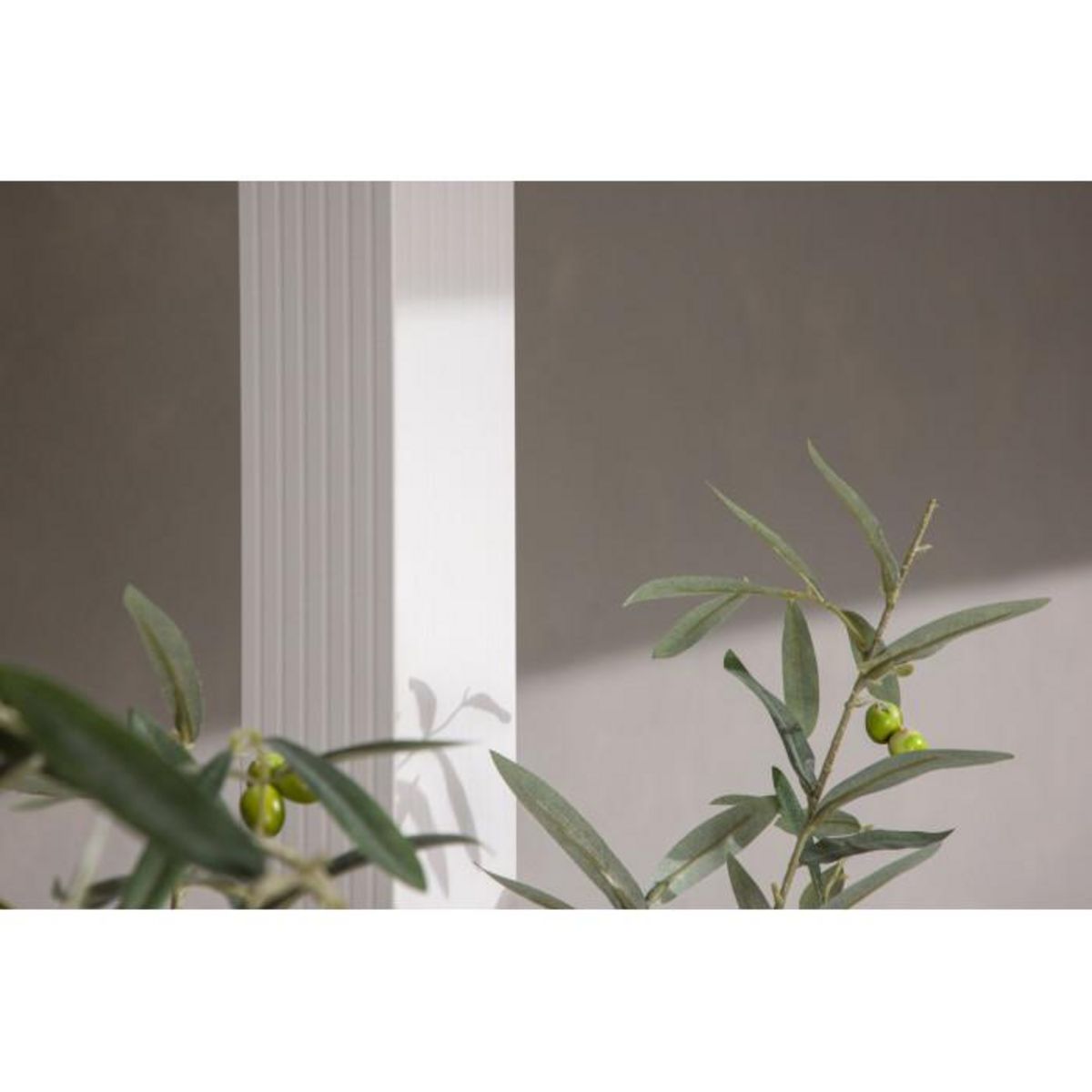 Paris Prix Pergola Avec Toit  Lazio  295cm Blanc