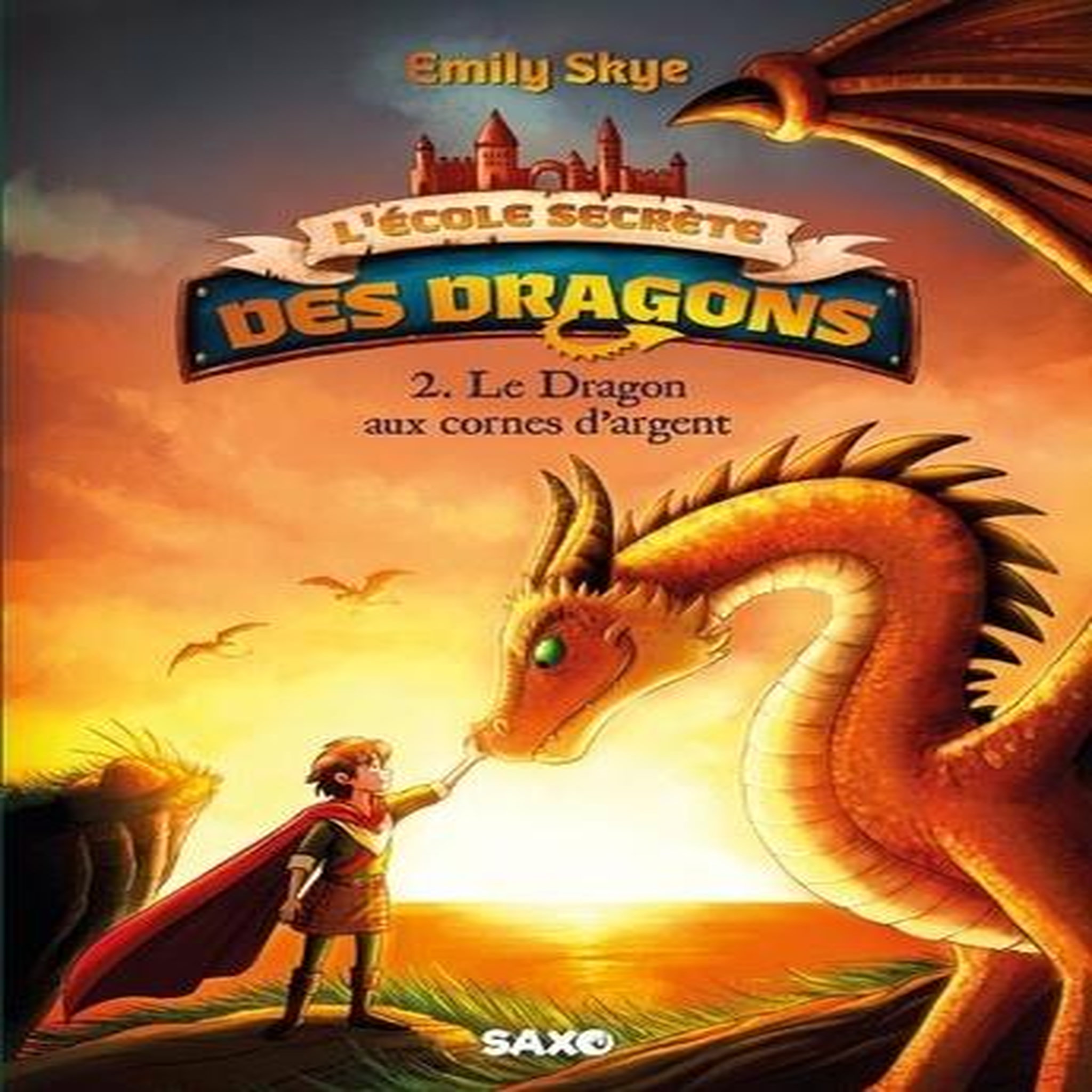 L'ECOLE SECRETE DES DRAGONS TOME 2 : LE DRAGON AUX CORNES D'ARGENT, Skye Emily